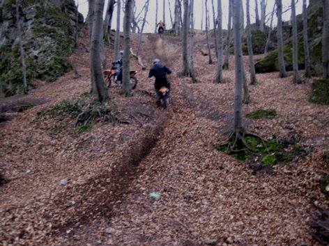 13686624_523508954527031_491181062478301321_n