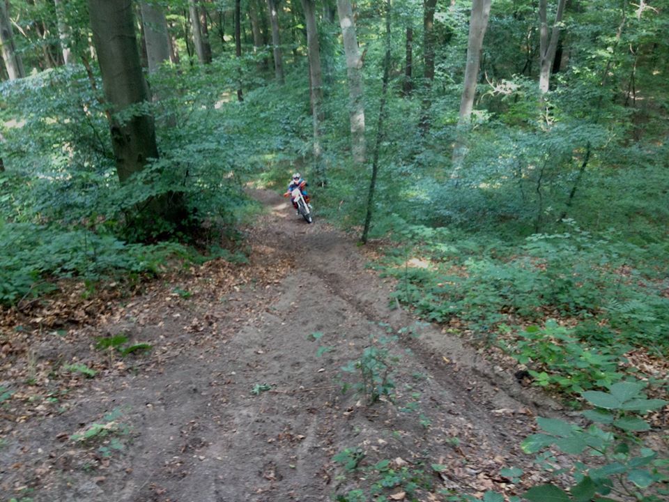 13710496_523508167860443_4558680809791189417_o