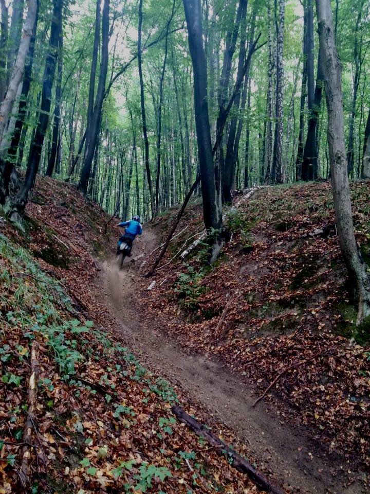 13728952_523511874526739_1179163383856887_n