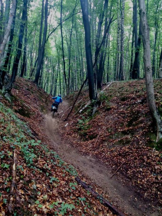 13728952_523511874526739_1179163383856887_n