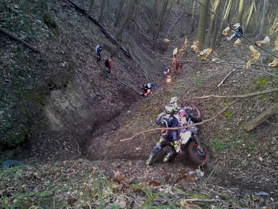 13731947_523504714527455_65824104261630048_o