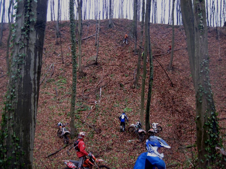 13735682_523505061194087_3048830085995410877_o