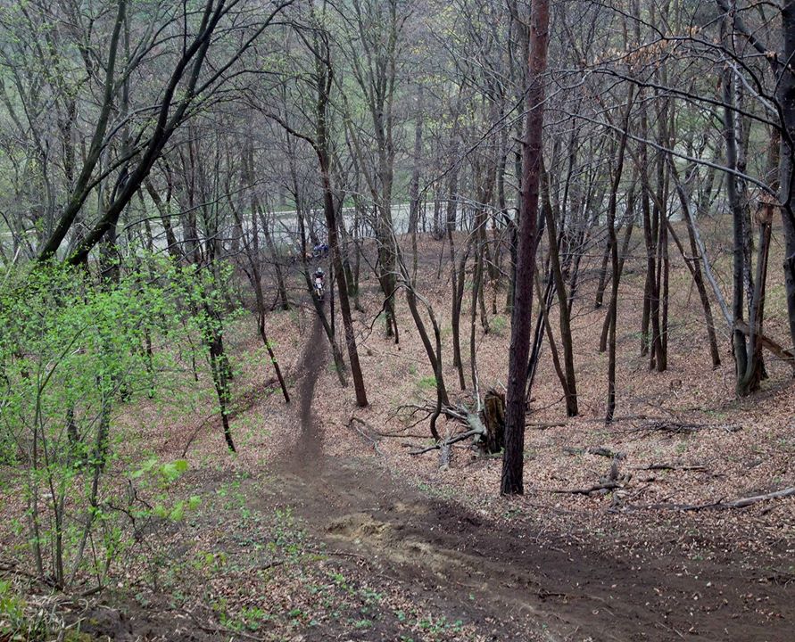 13738085_523509097860350_5832439482412514774_o