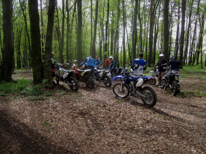 13738238_523503684527558_7814962764023211549_o