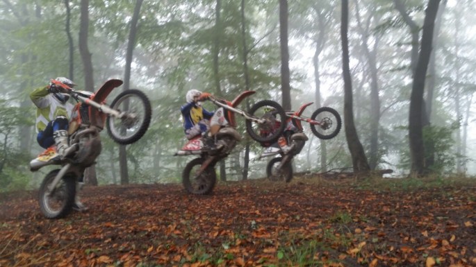 14409908_548249785386281_8966929217609230569_o