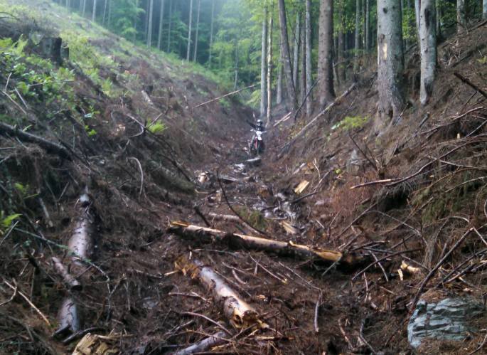 19388779_1547689298637111_3908022319645339121_o